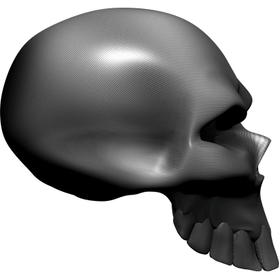 Premium Skull Decals- Carbon Fiber Skull 5.