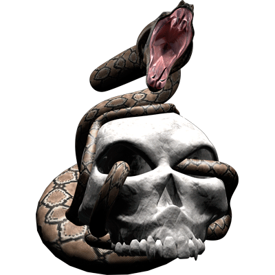 Premium Skull Decals- Snake Strike Skull 2.