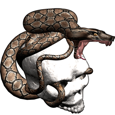 Premium Skull Decals- Snake Strike Skull 3.