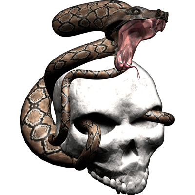 Premium Skull Decals- Snake Strike Skull 4.